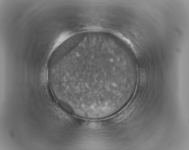 X0000115531365200912040941