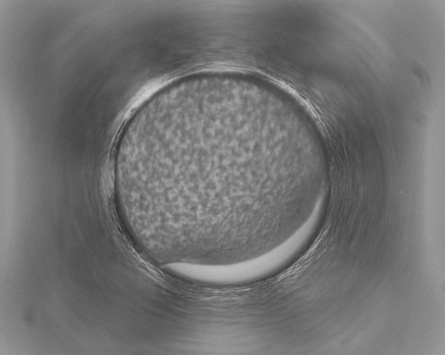 X0000115531367200912040941