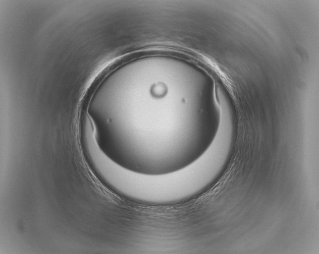 X0000115531368200912040941