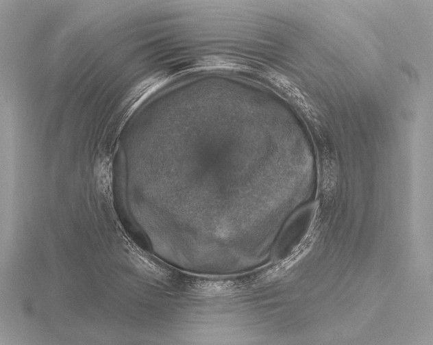 X0000115531369200912040941