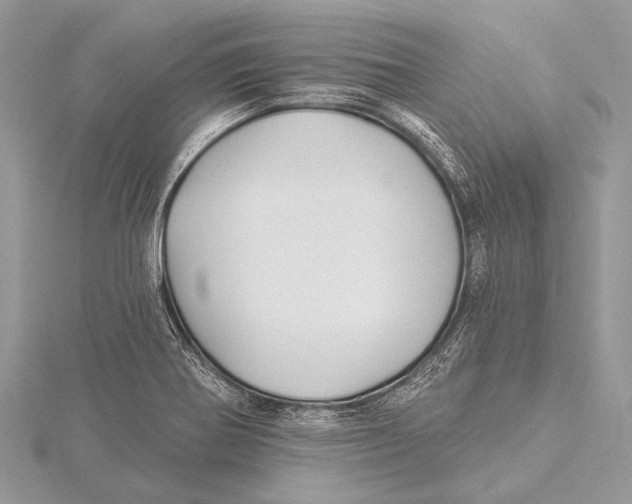 X0000115531370200912040941