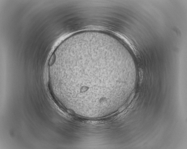 X0000115531371200912040941