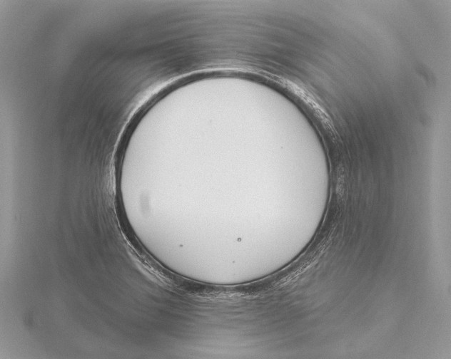 X0000115531372200912040941