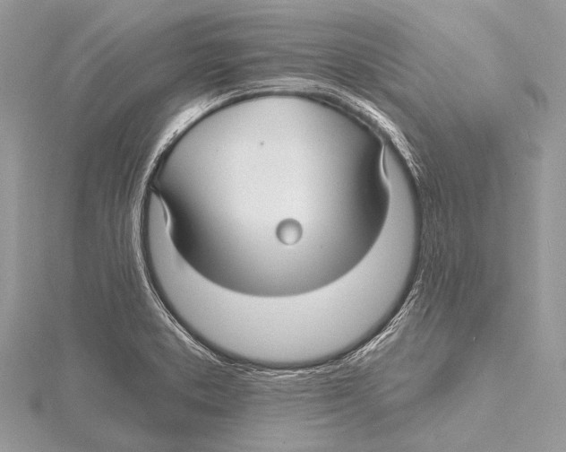 X0000115531373200912040941