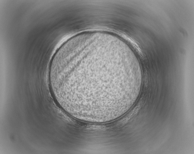 X0000115531374200912040941