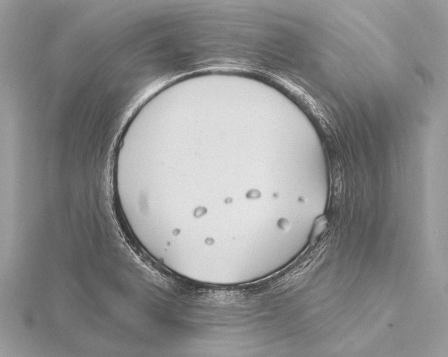 X0000115531375200912040941