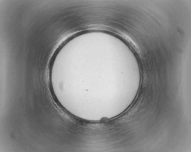 X0000115531376200912040941