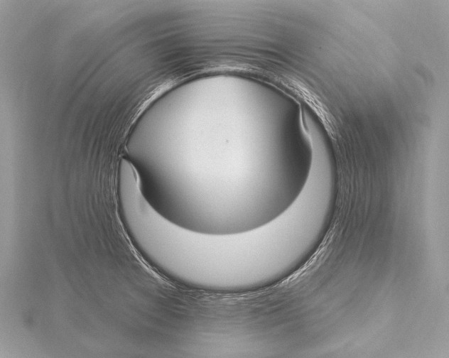 X0000115531377200912040941