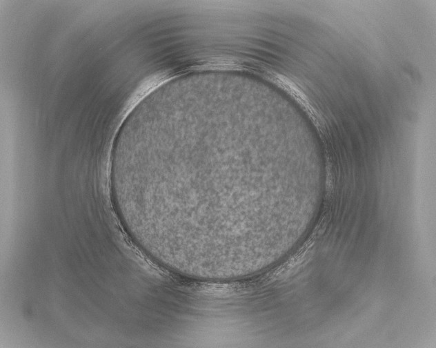 X0000115531378200912040941