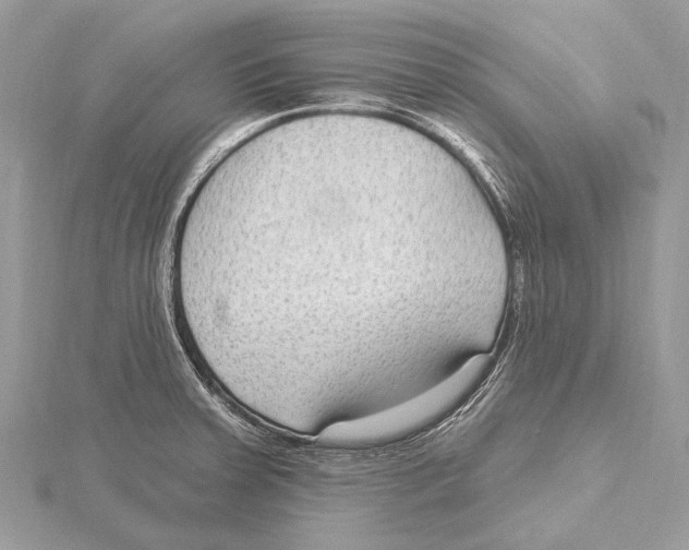 X0000115531379200912040941