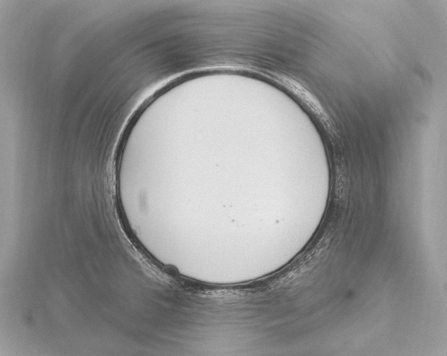 X0000115531380200912040940