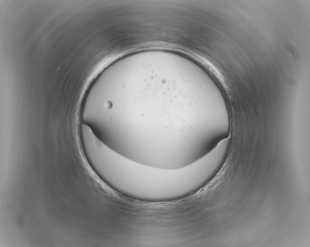 X0000115531381200912040940