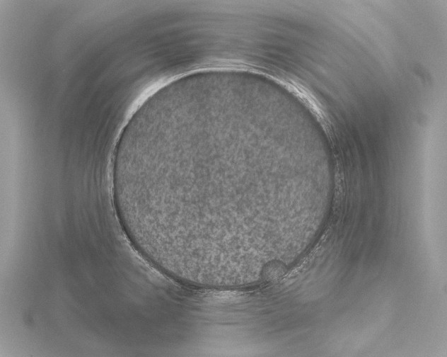 X0000115531382200912040940