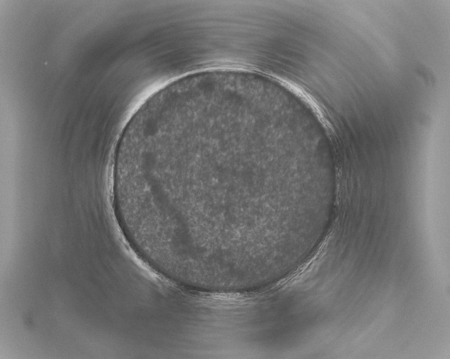 X0000115531383200912040940