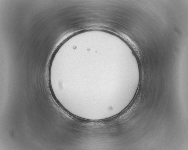 X0000115531384200912040940