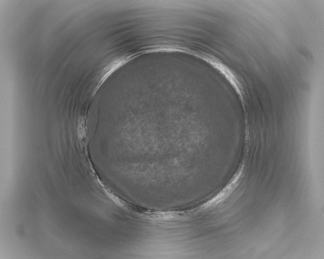 X0000115531385200912040940