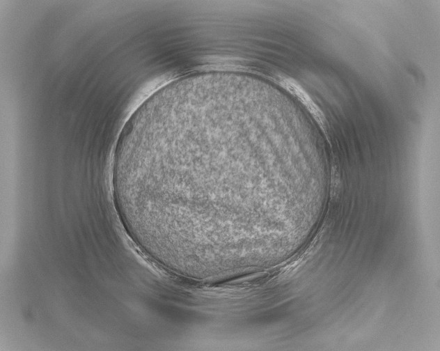 X0000115531386200912040940