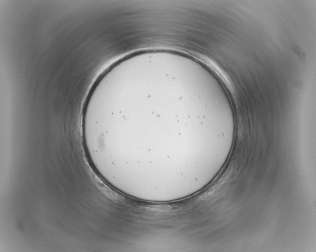 X0000115531388200912040940