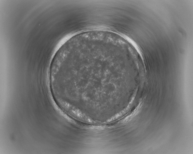 X0000115531389200912040940