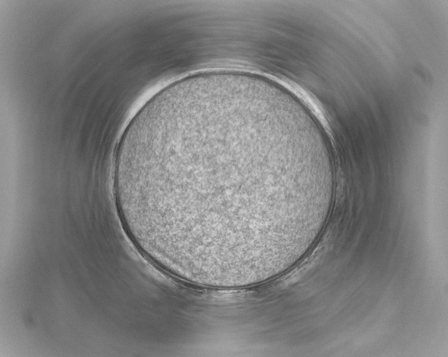 X0000115531390200912040940