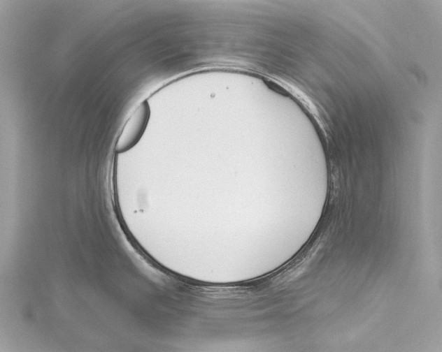 X0000115531391200912040940