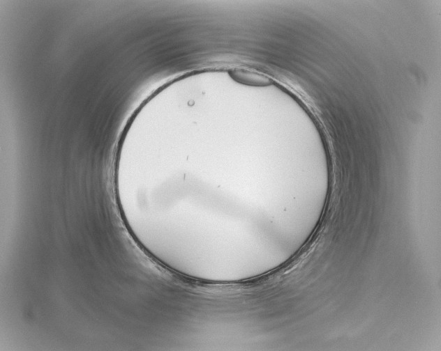 X0000115531392200912040940