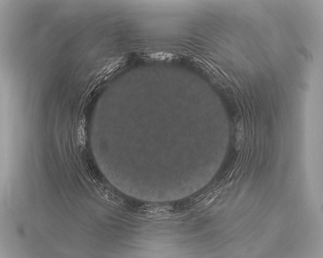 X0000115531394200912040940