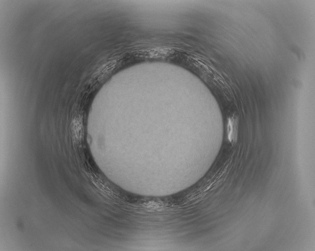 X0000115531395200912040940