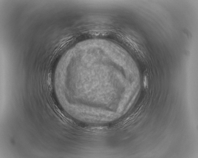 X0000115531396200912040940