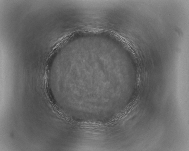 X0000115531397200912040940