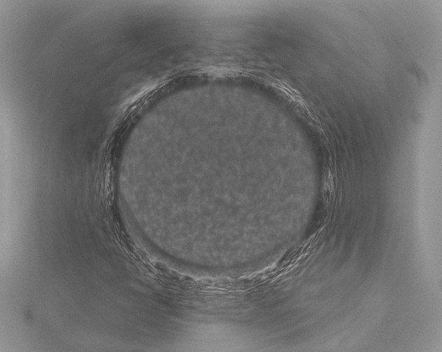 X0000115531398200912040940