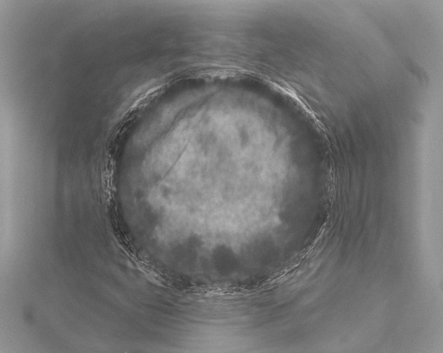 X0000115531399200912040940