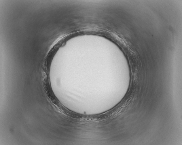 X0000115531400200912040940