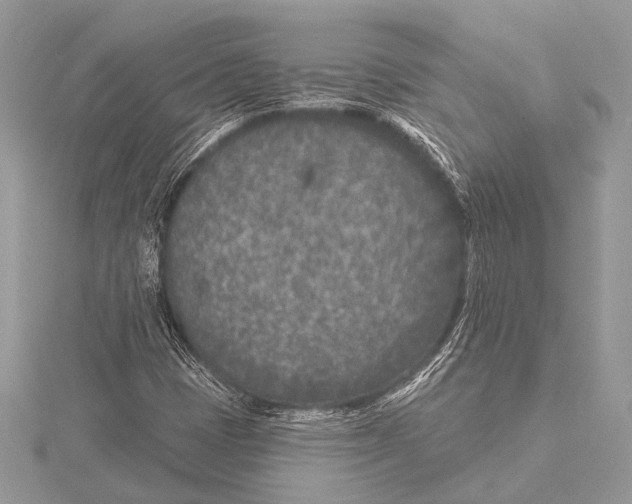 X0000115531401200912040940