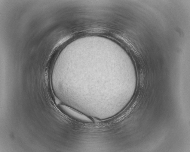 X0000115531402200912040940