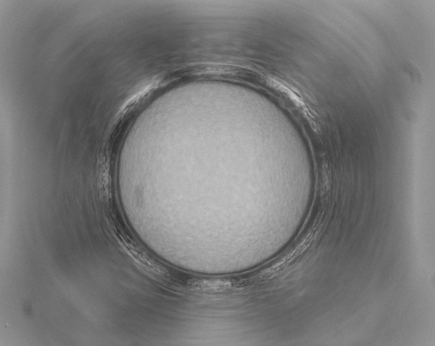 X0000115531403200912040940