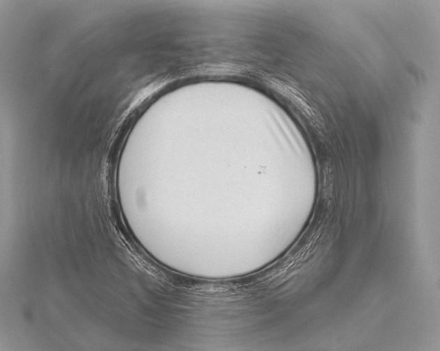 X0000115531404200912040940