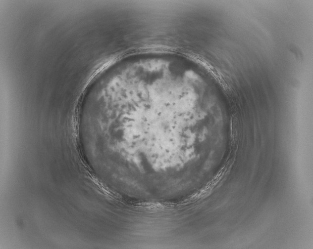 X0000115531405200912040940