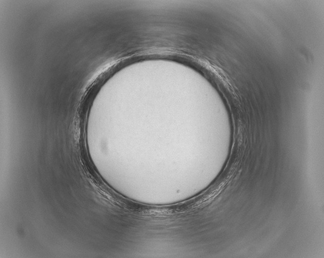 X0000115531406200912040940