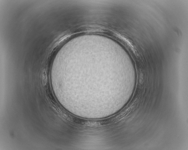 X0000115531407200912040940