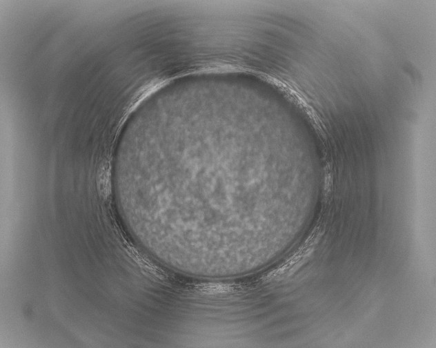 X0000115531409200912040940