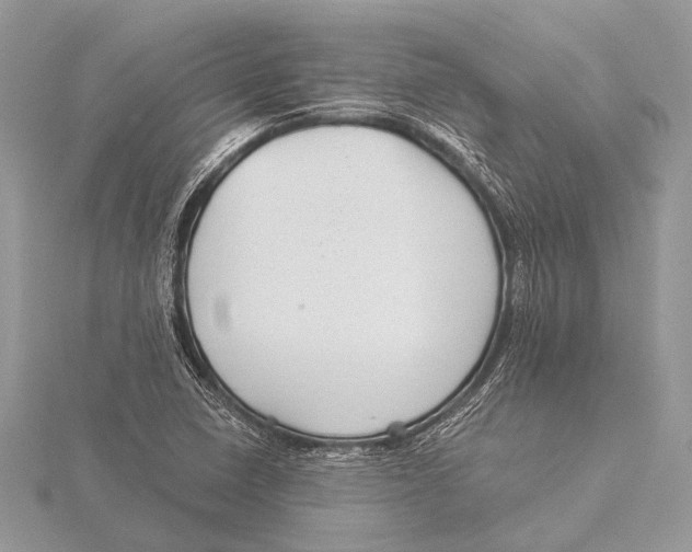 X0000115531410200912040940