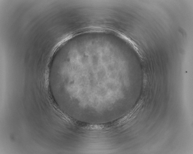 X0000115531411200912040940