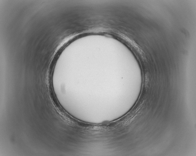 X0000115531412200912040940