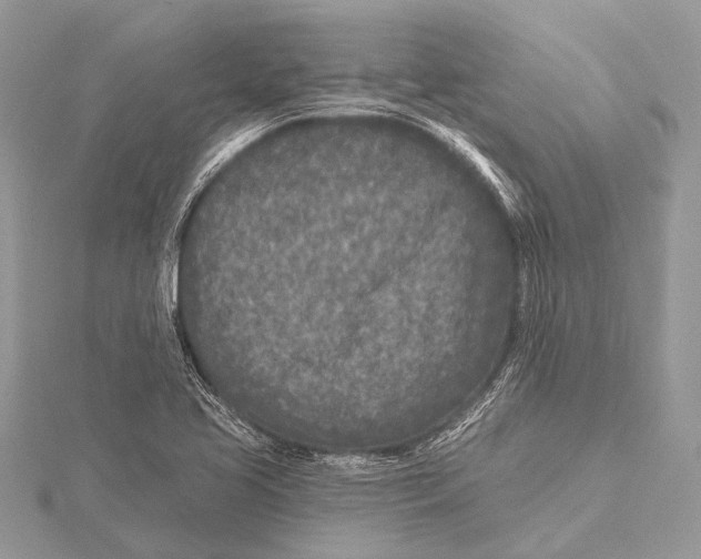 X0000115531413200912040940