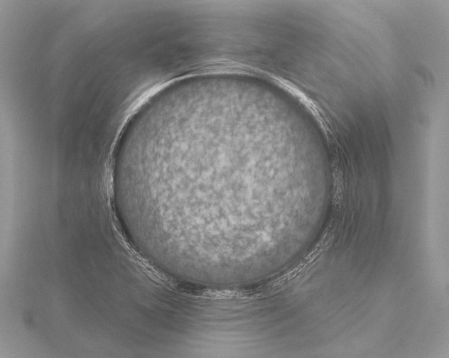 X0000115531415200912040940