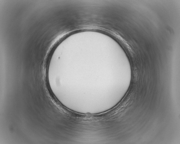 X0000115531416200912040940