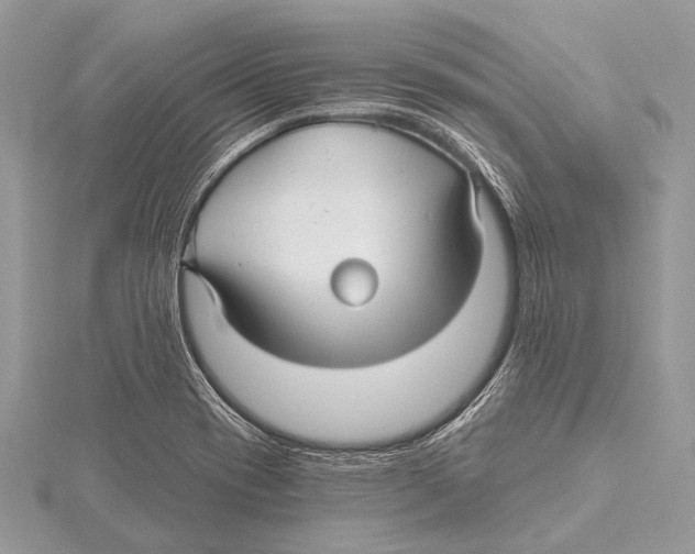 X0000115531417200912040940