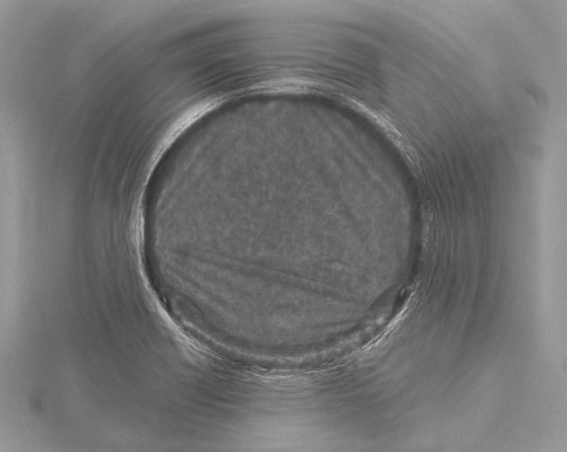 X0000115531418200912040940