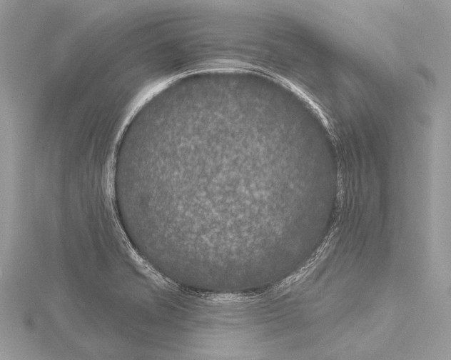 X0000115531421200912040940